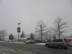 Snow in Fairfax